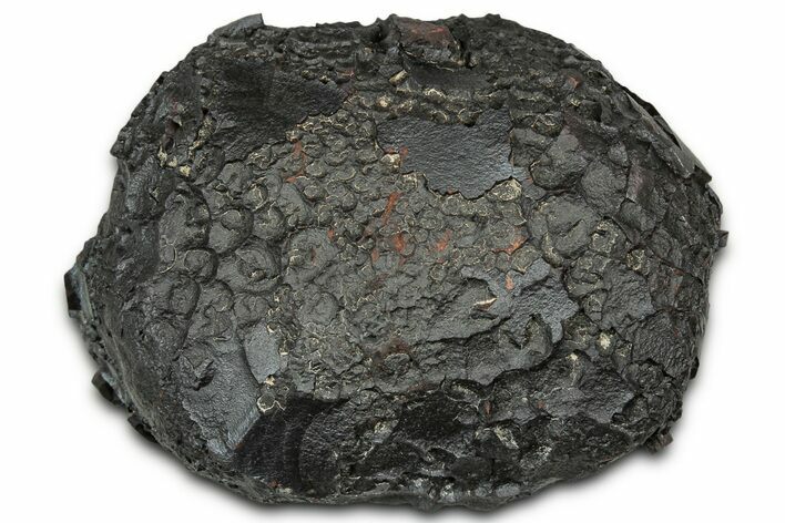 Dragon Scale Stone (Iron, Manganese, Siderite Nodule) #330313